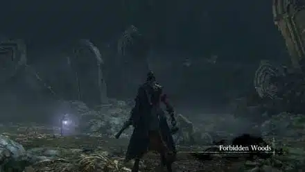 The Forbidden Woods’ Snake Pit